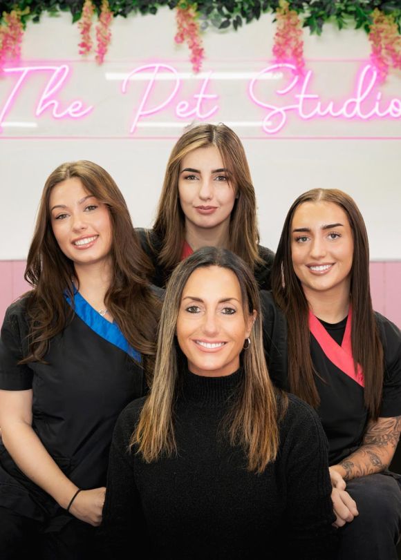 The Pet Studio - A Class Team